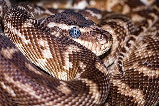 Empowering Growth: A CEO's Guide to Scaling Your Startup